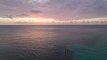 meet-roatan-banner-08